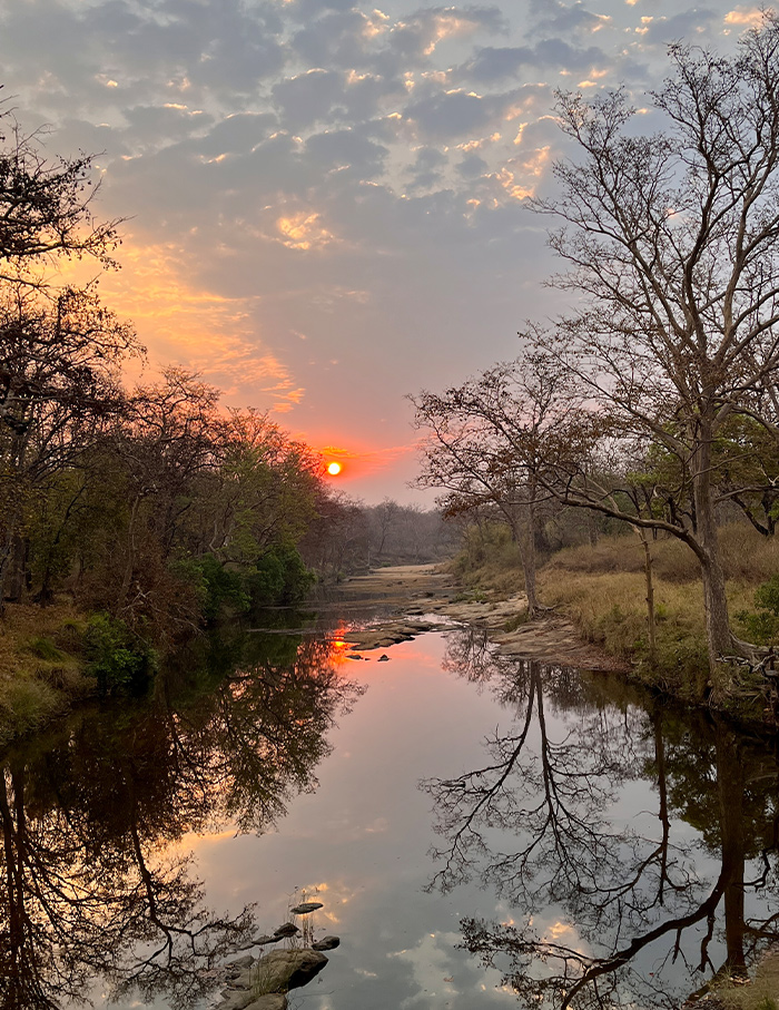 Bori Safari Lodge